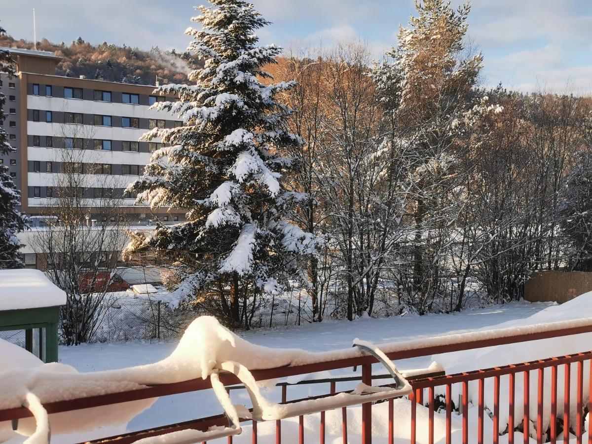 Penzion Zornicka Bardejovské Kúpele Exteriör bild