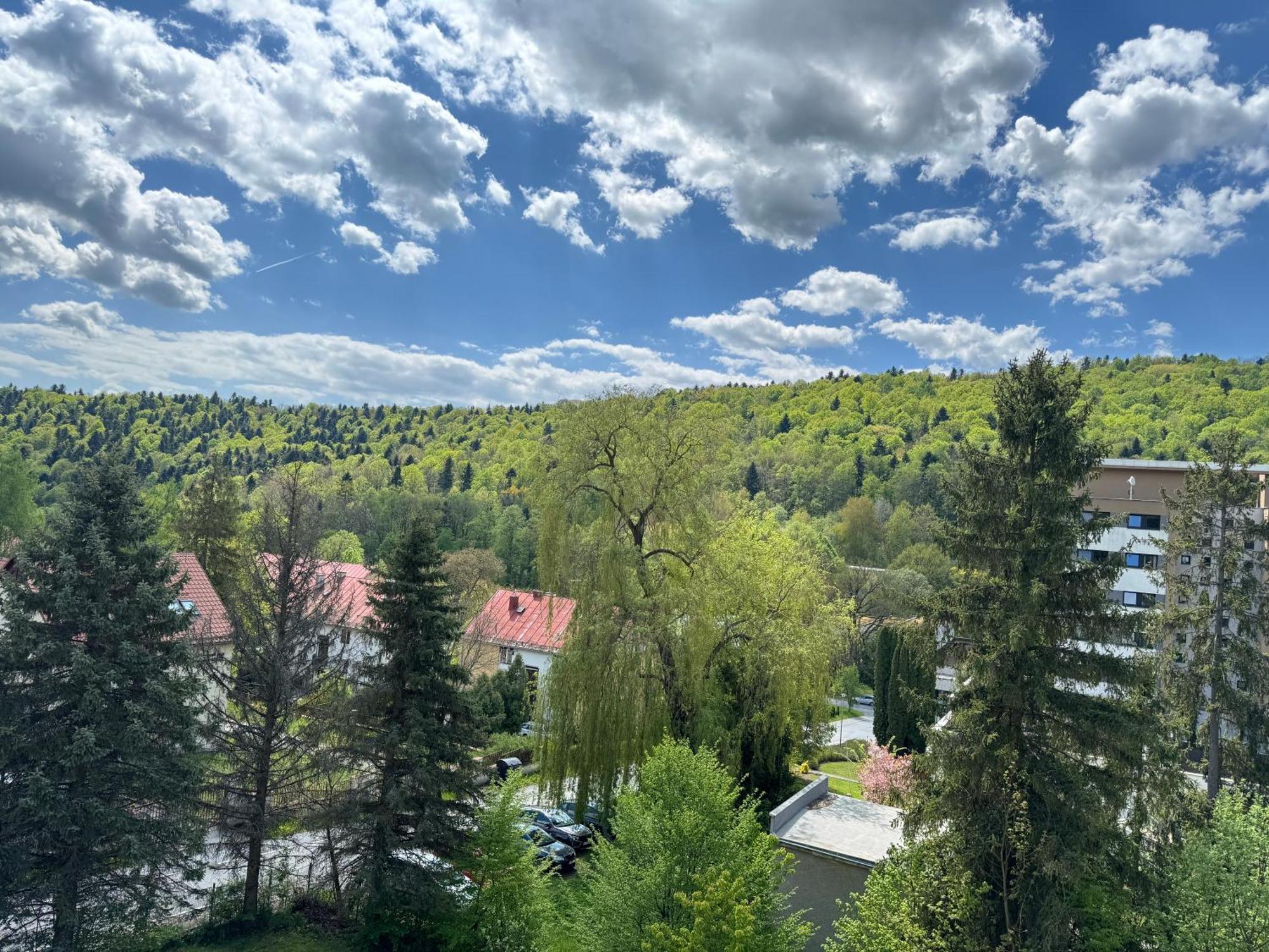 Penzion Zornicka Bardejovské Kúpele Exteriör bild